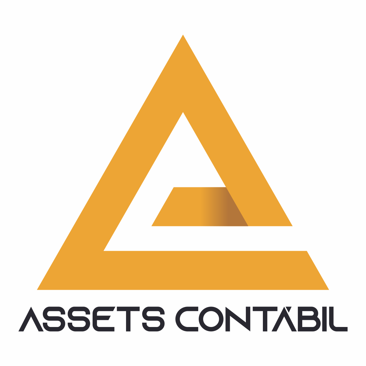 assets-1